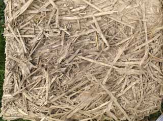 straw-clay after re-wetting
