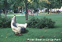 Polar Bear in Elmside Park